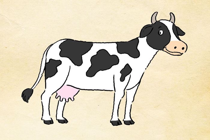 Detail Gambar Sapi Susu Nomer 27