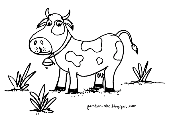 Detail Gambar Sapi Tk Nomer 15