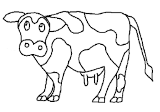 Detail Gambar Sapi Tk Nomer 25
