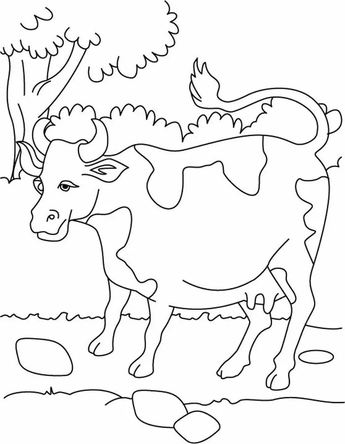 Detail Gambar Sapi Tk Nomer 48
