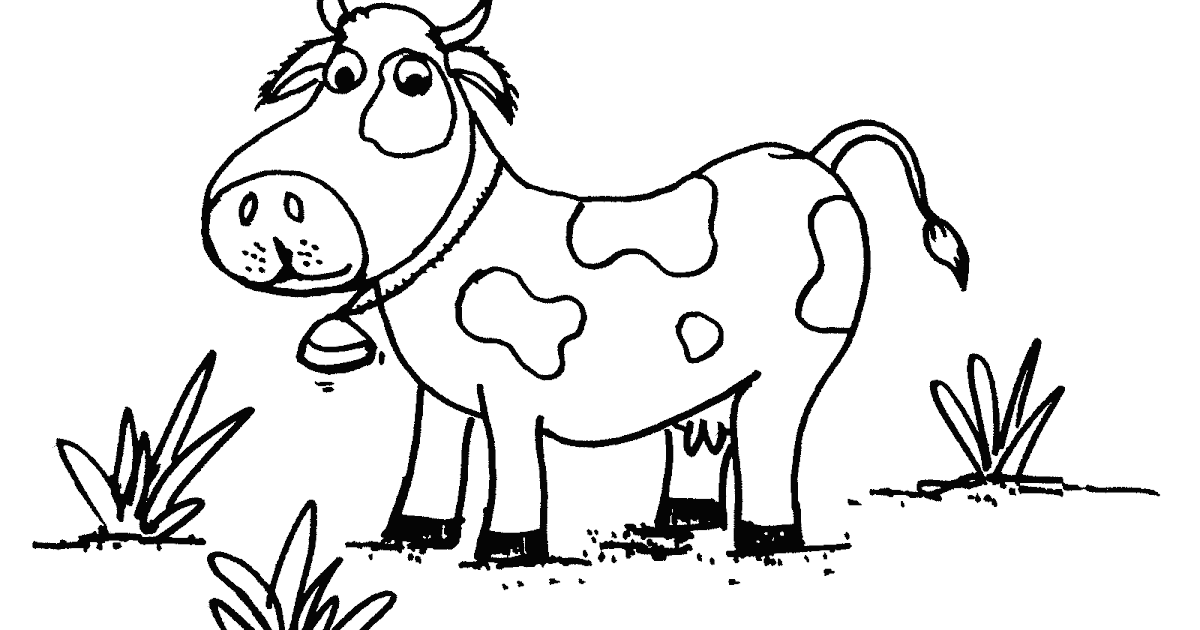Detail Gambar Sapi Tk Nomer 50