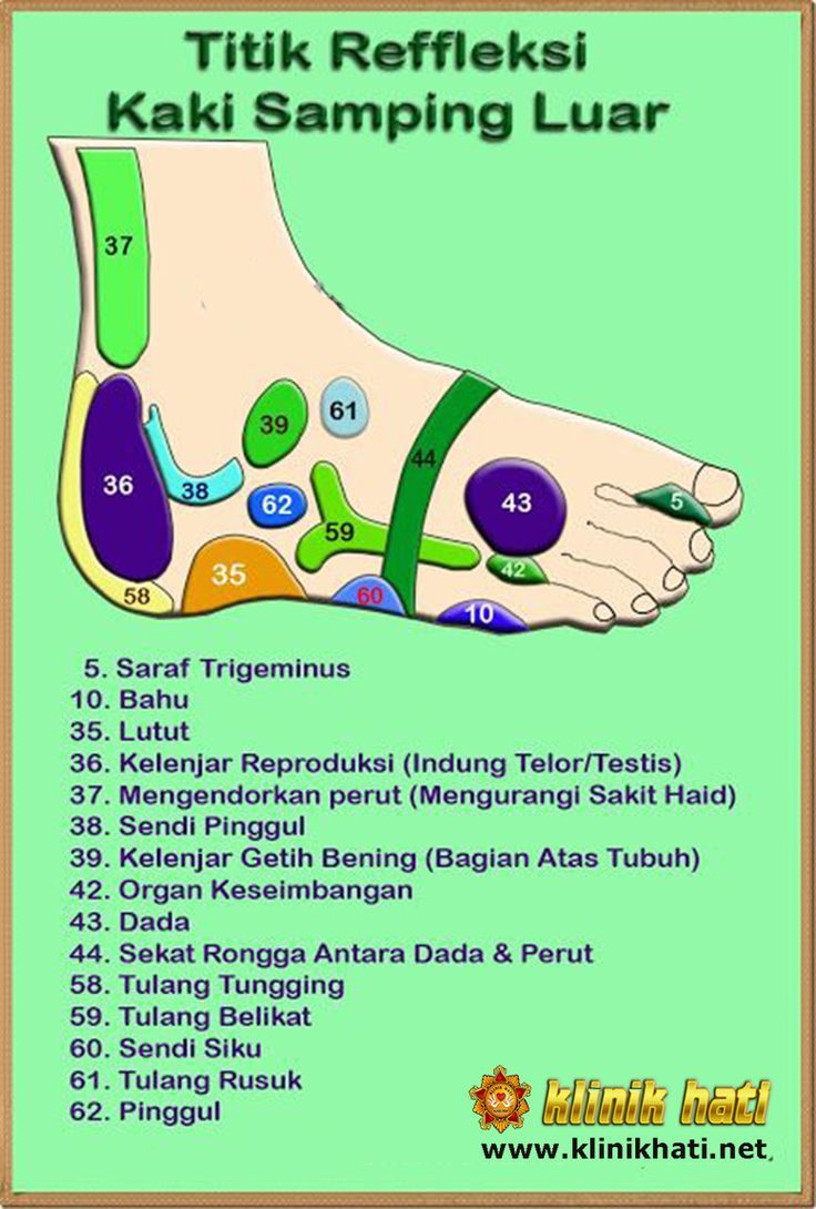 Detail Gambar Saraf Di Kaki Nomer 26