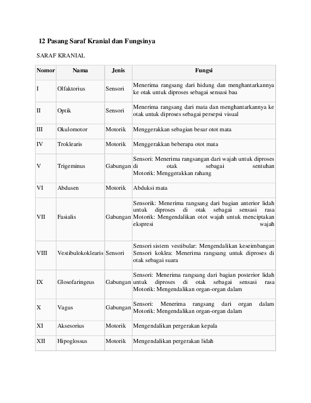 Detail Gambar Saraf Kranial Nomer 28