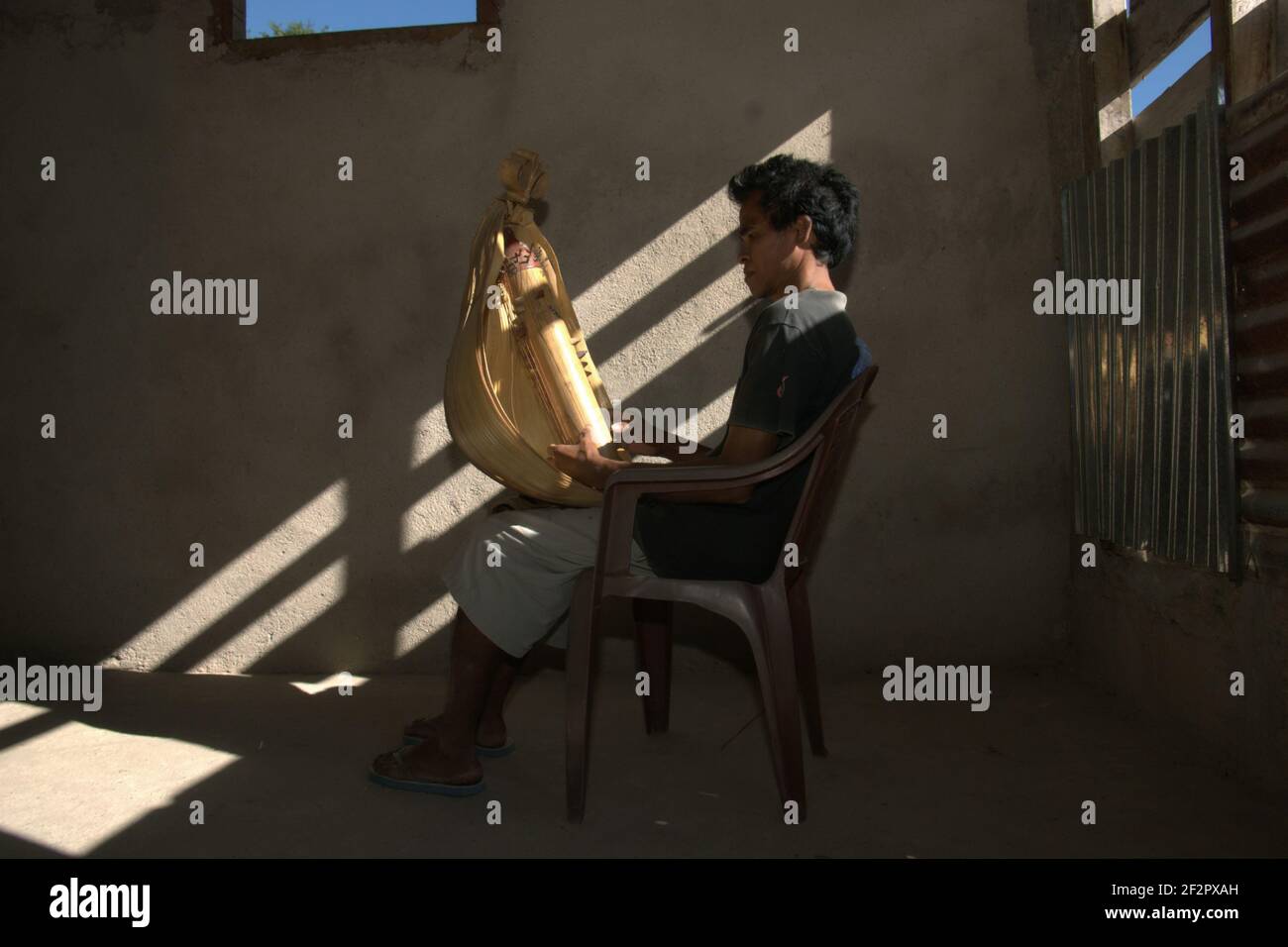 Detail Gambar Sasando Rote Nomer 38