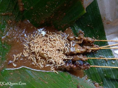 Detail Gambar Sate Lucu Nomer 41