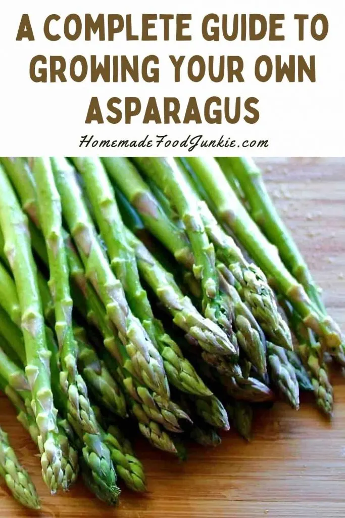 Detail Gambar Satu Asparagaus Nomer 52