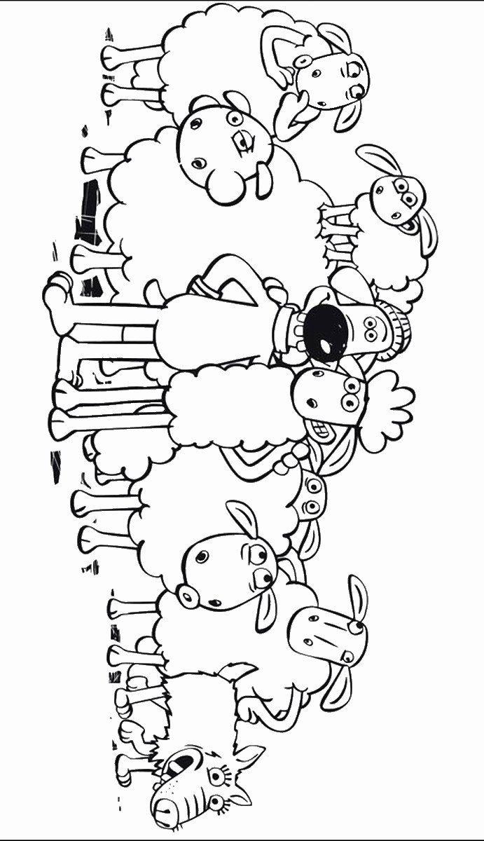 Detail Gambar Saun The Sheep Hitam Putih Nomer 49