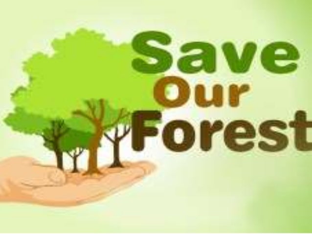 Detail Gambar Save Our Forest Nomer 15