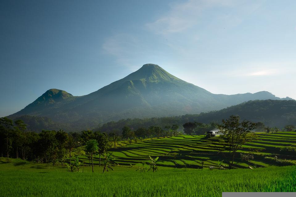 Detail Gambar Sawah Dan Gunung Nomer 53