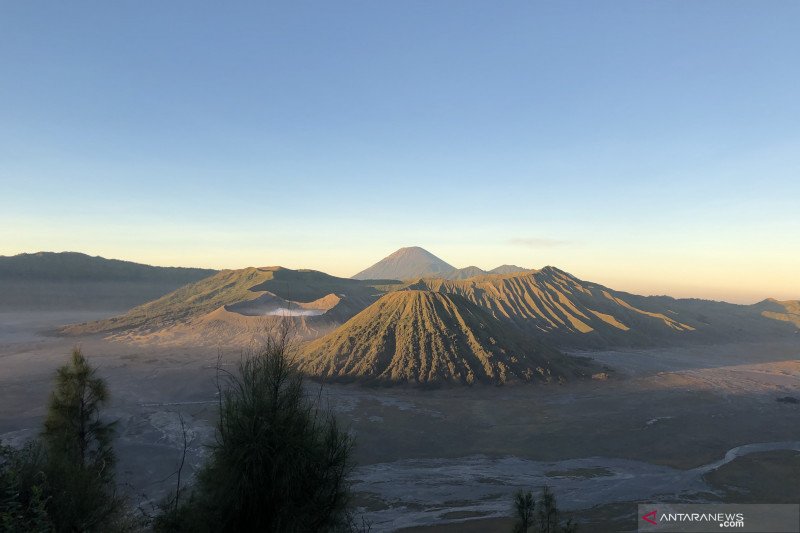 Detail Gambar Sawah Padi Gunung Bromo Nomer 23