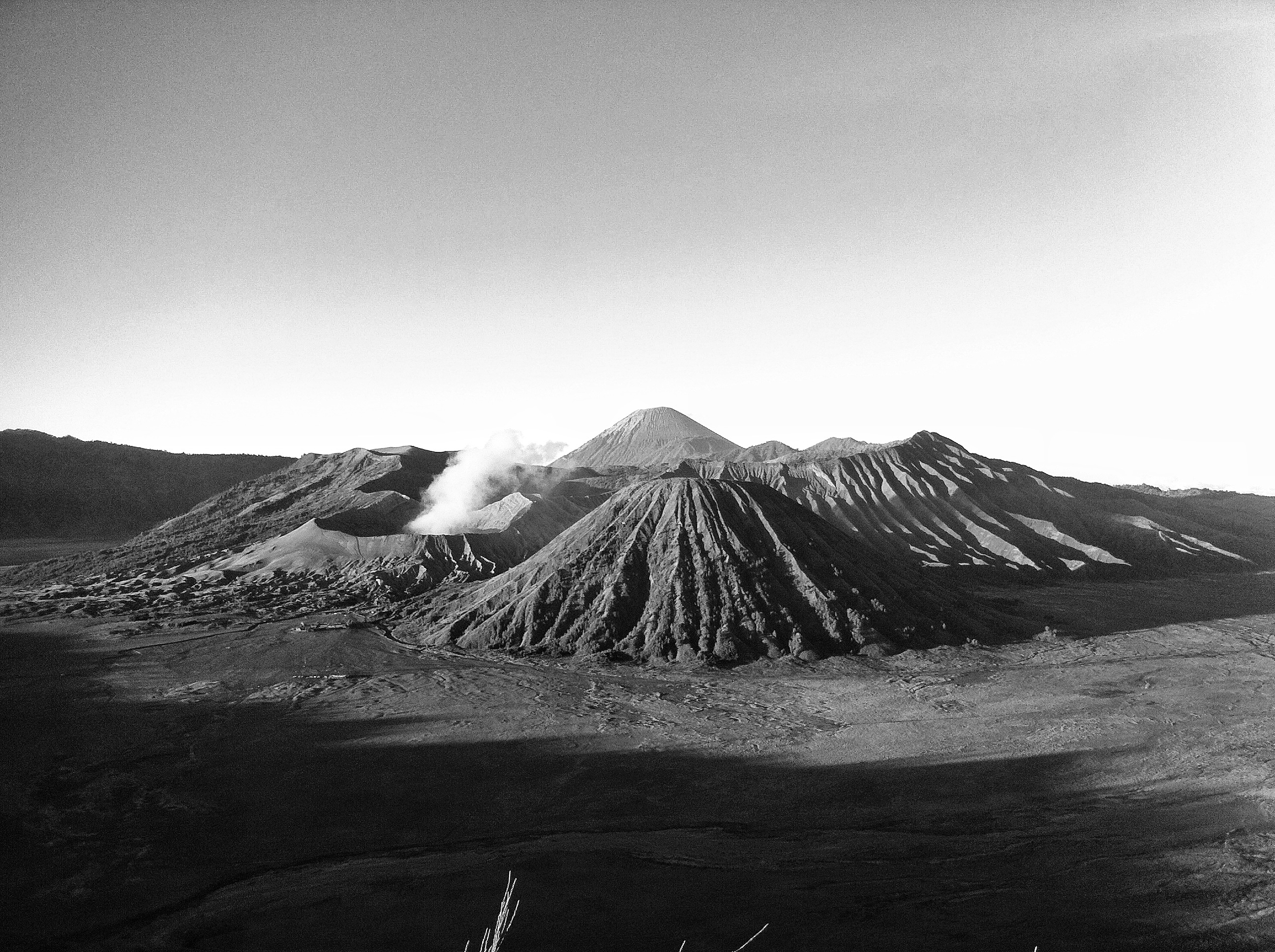 Detail Gambar Sawah Padi Gunung Bromo Nomer 46