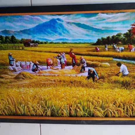 Detail Gambar Sawah Padi Gunung Bromo Nomer 47