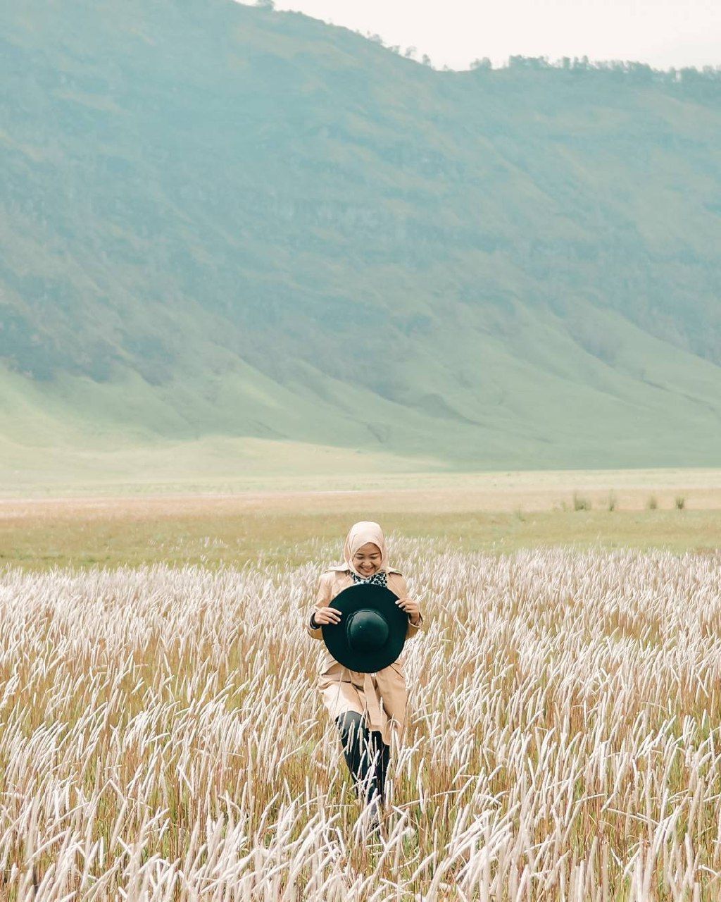 Detail Gambar Sawah Padi Sawah Di Tengger Nomer 19