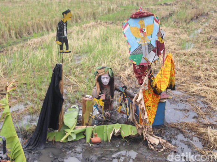 Detail Gambar Sawah Padi Sawah Di Tengger Nomer 28