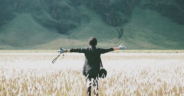 Detail Gambar Sawah Padi Sawah Di Tengger Nomer 9