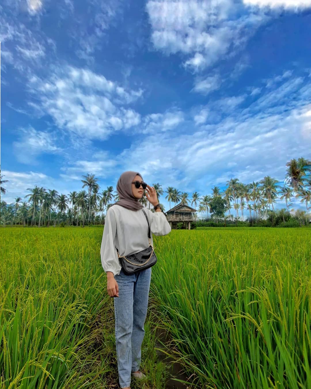 Detail Gambar Sawah Padi Yang Cantik Nomer 31