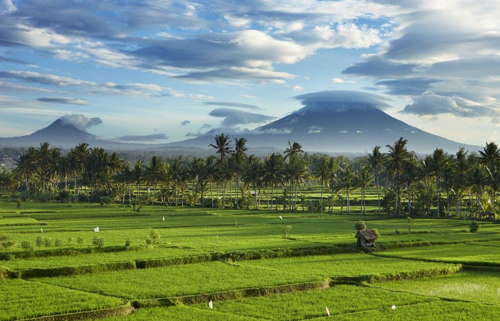 Gambar Sawah Pedesaan - KibrisPDR