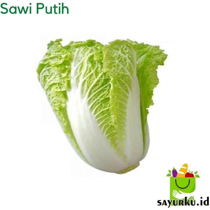 Detail Gambar Sawi Putih Gambar Sawi Putih Nomer 13