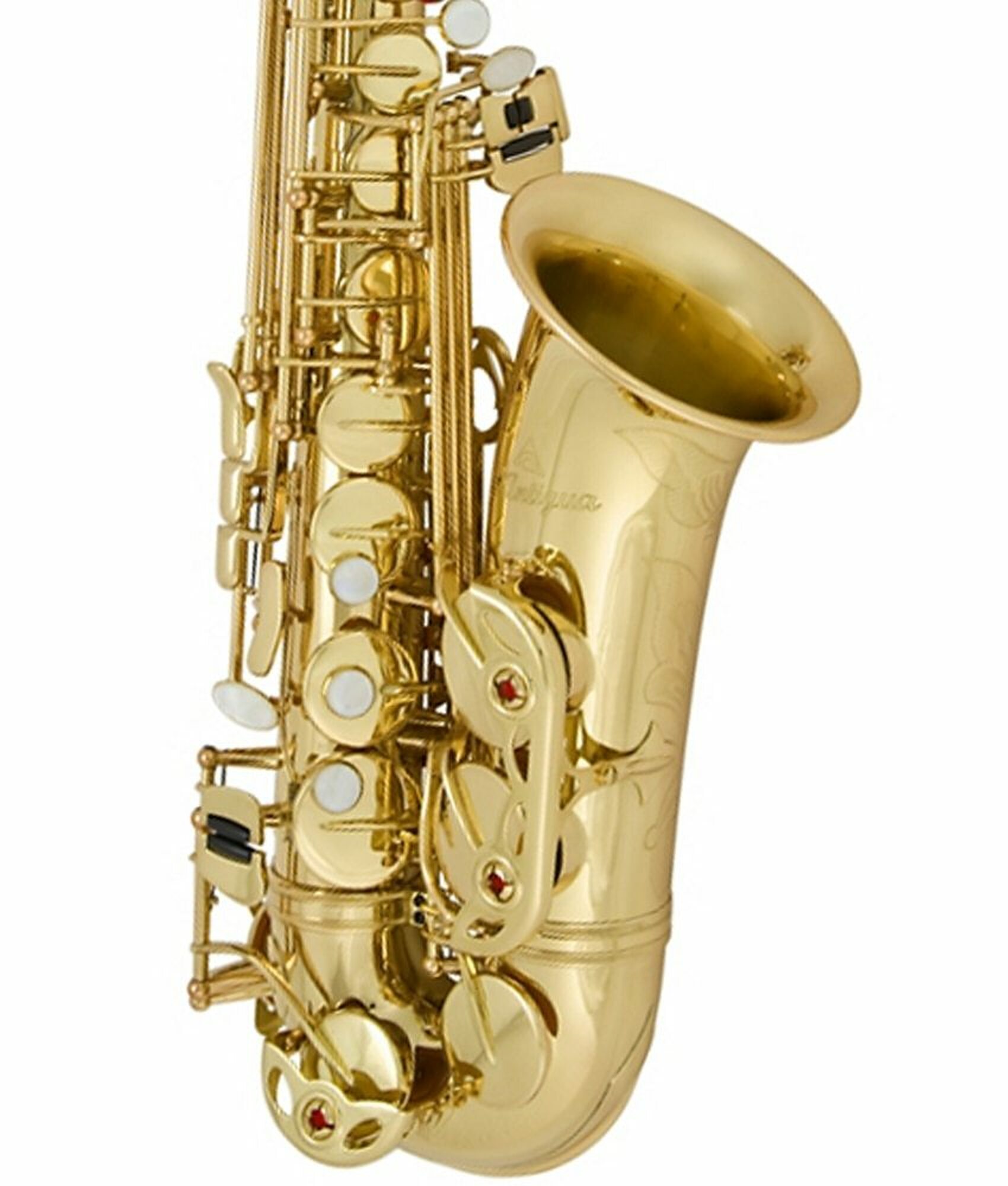 Detail Gambar Saxophone Nomer 53