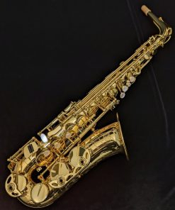 Detail Gambar Saxophone Alto Nomer 23
