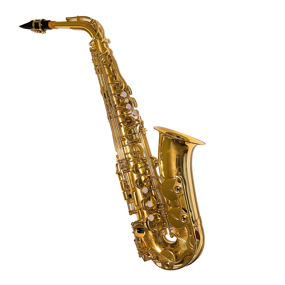 Detail Gambar Saxophone Alto Nomer 3