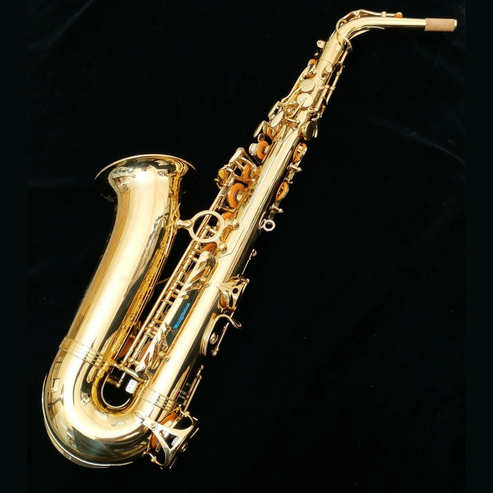 Detail Gambar Saxophone Alto Nomer 31