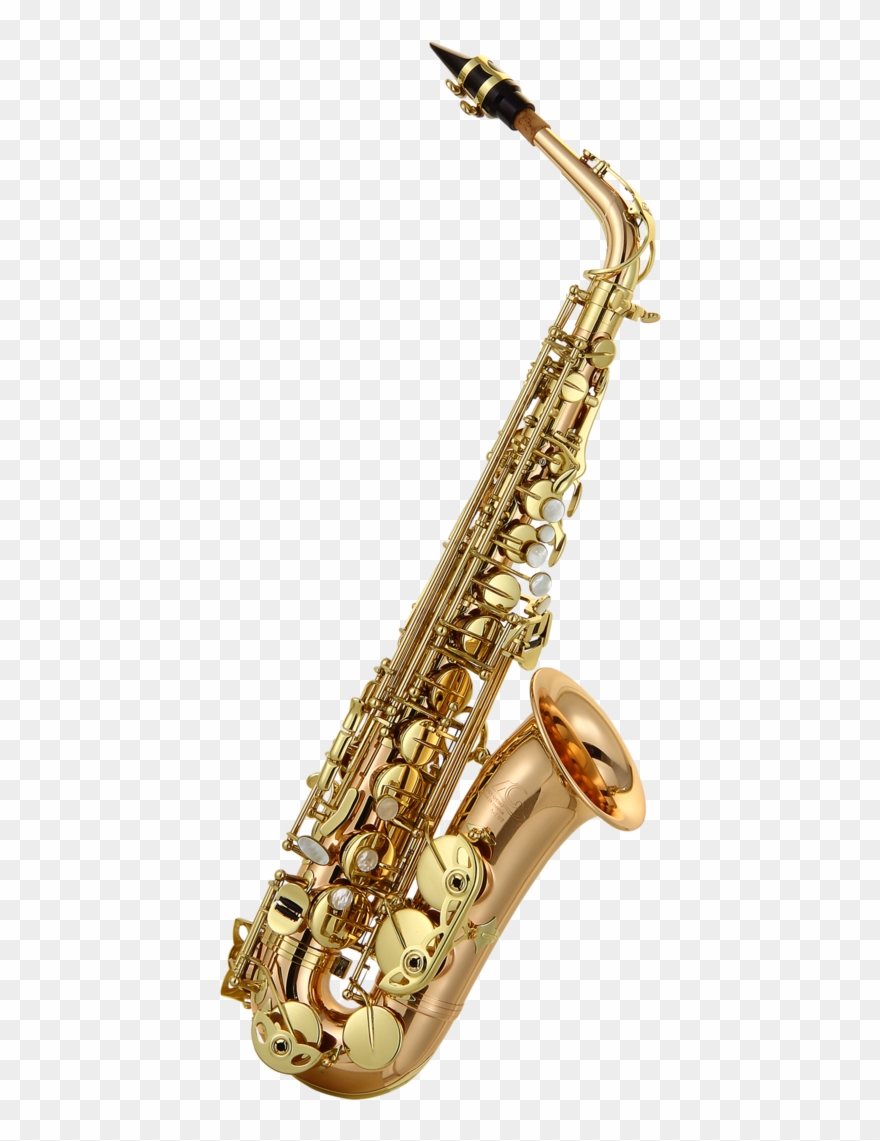 Detail Gambar Saxophone Alto Nomer 35