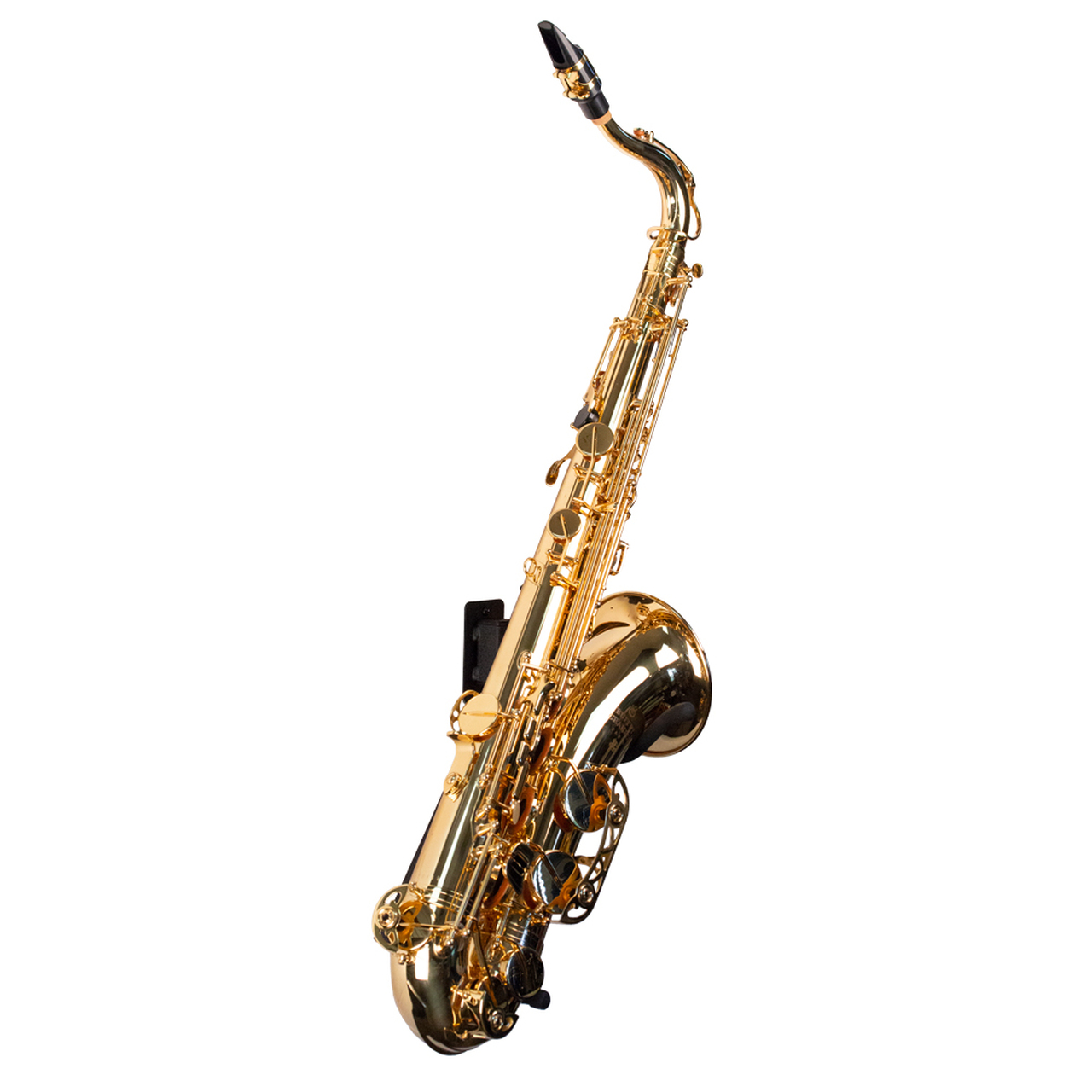 Detail Gambar Saxophone Alto Nomer 49