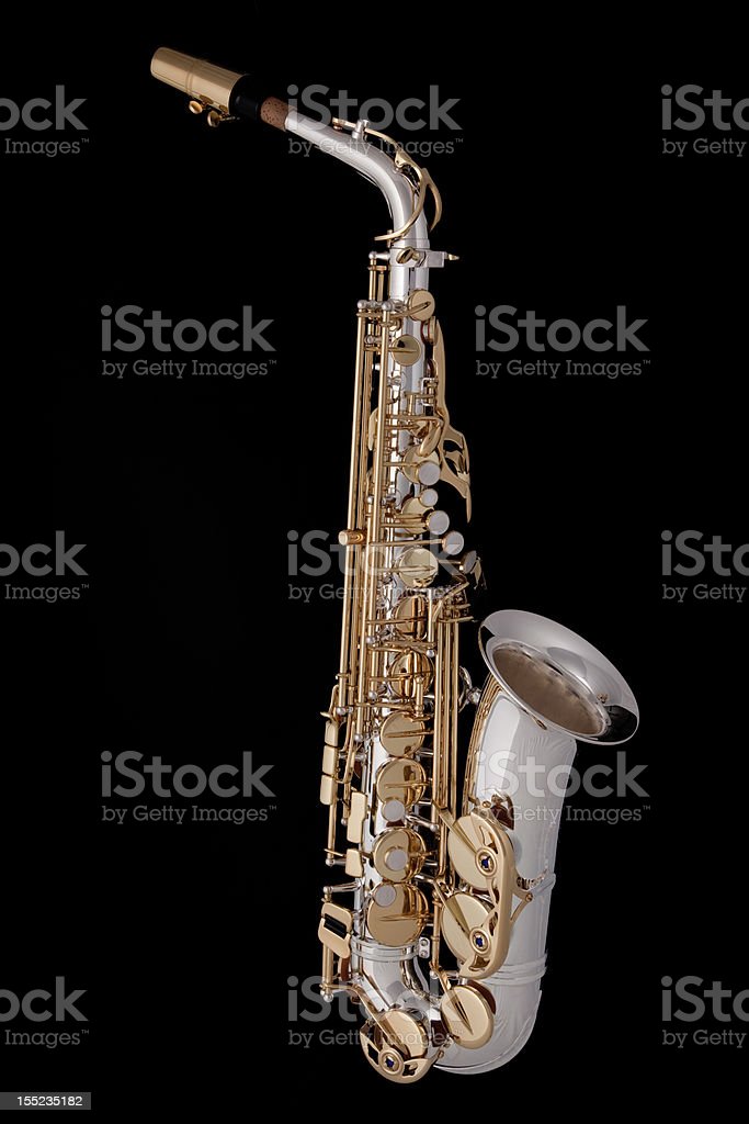 Detail Gambar Saxophone Alto Nomer 53