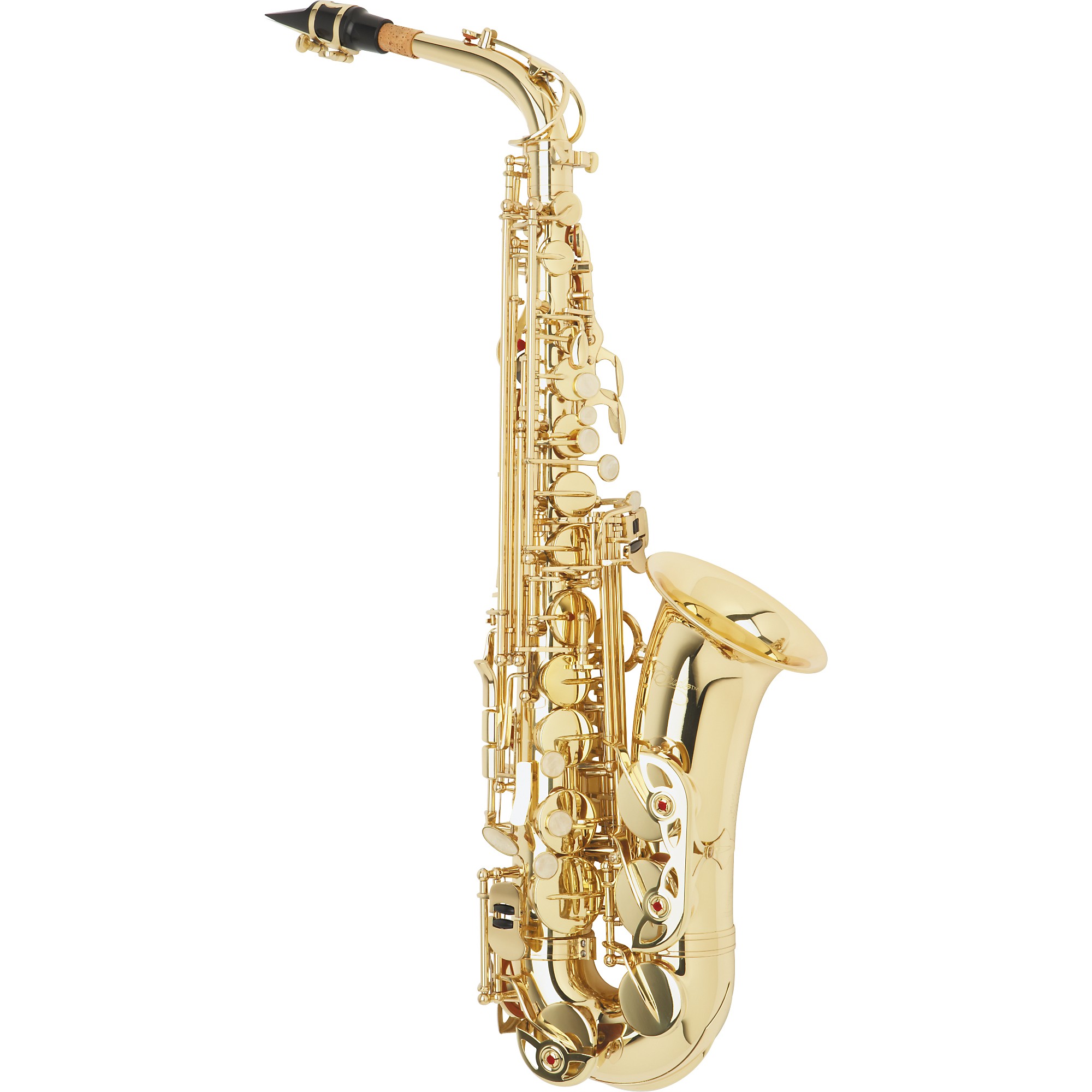 Detail Gambar Saxophone Alto Nomer 9