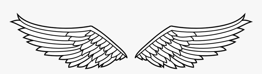 Detail Gambar Sayap Garuda Vector Nomer 7