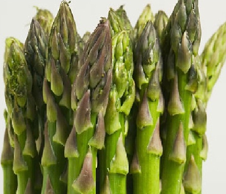 Detail Gambar Sayur Asparagus Nomer 18