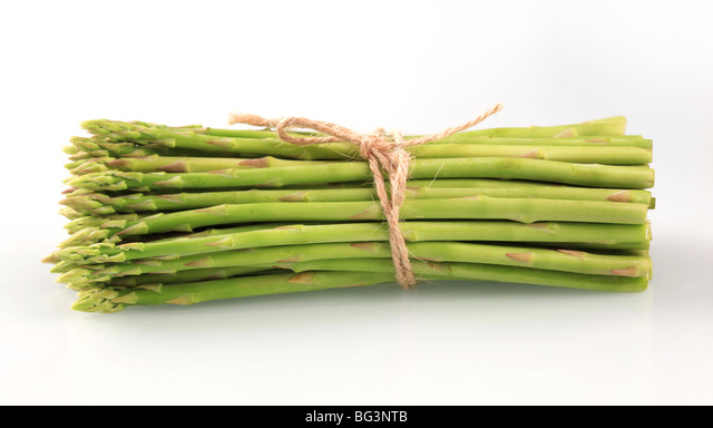 Detail Gambar Sayur Asparagus Nomer 26