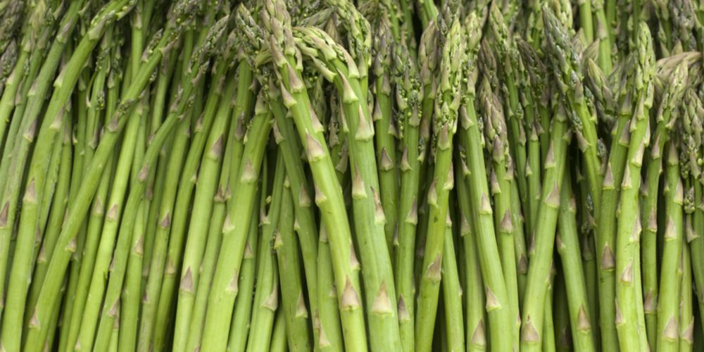 Detail Gambar Sayur Asparagus Nomer 33