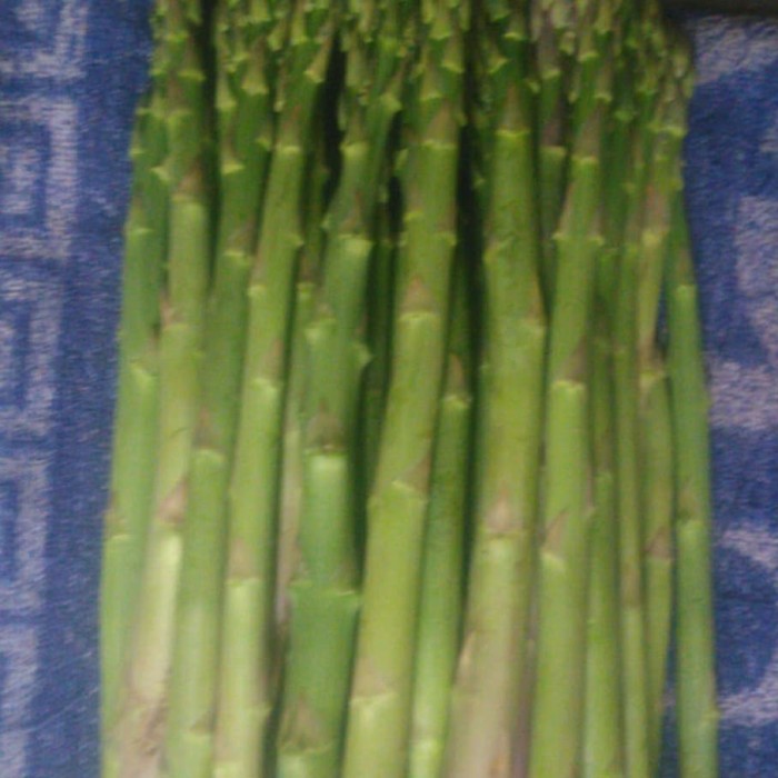 Detail Gambar Sayur Asparagus Nomer 34