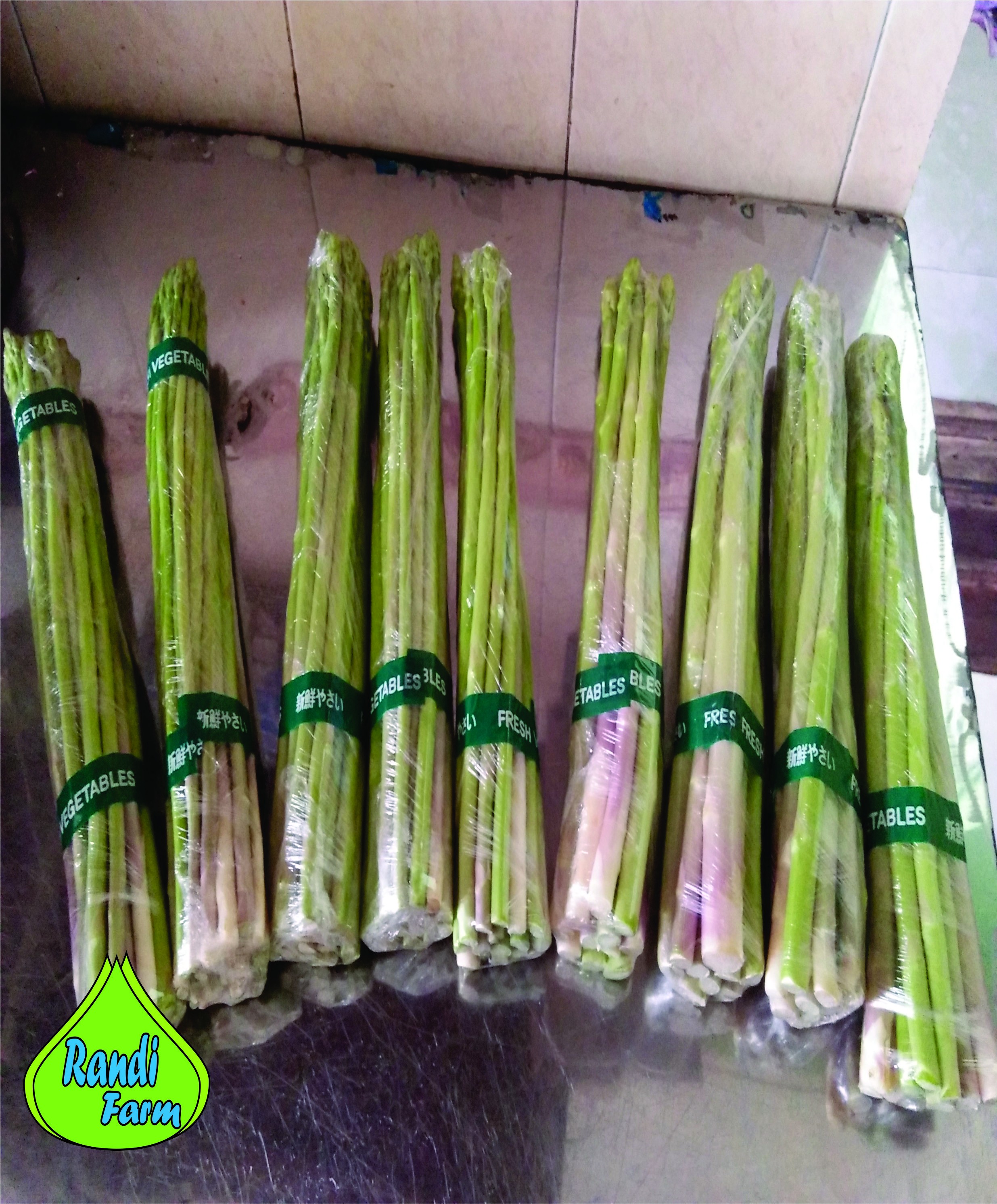 Detail Gambar Sayur Asparagus Nomer 36