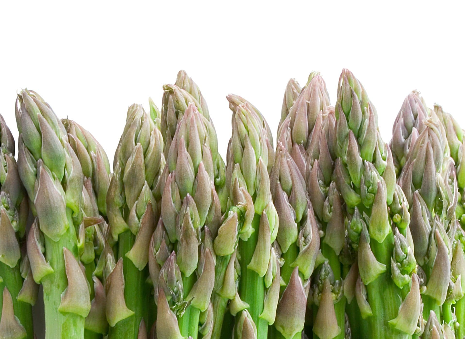 Detail Gambar Sayur Asparagus Nomer 37