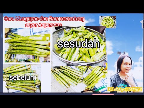 Detail Gambar Sayur Asparagus Nomer 50