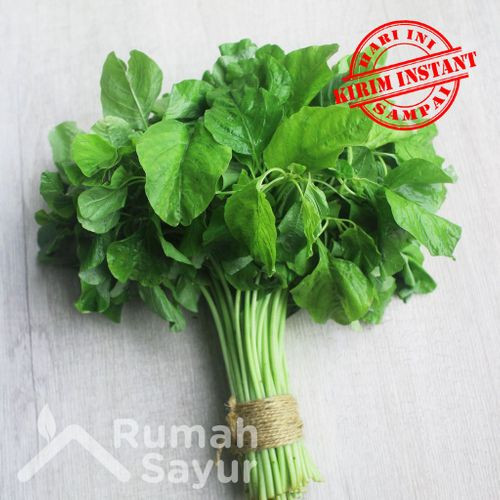 Detail Gambar Sayur Bayam Nomer 27