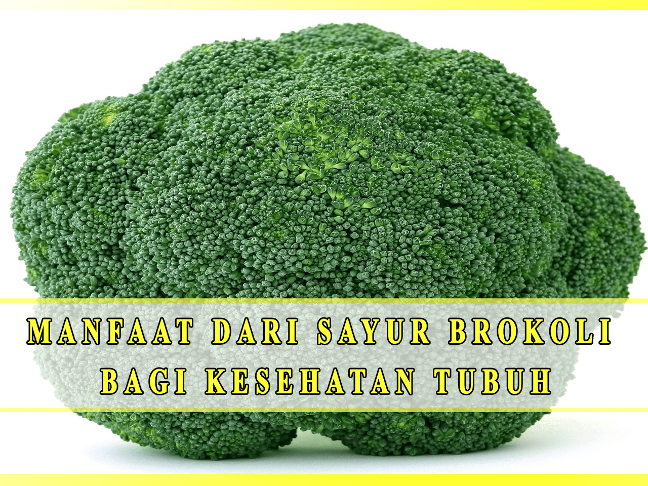 Detail Gambar Sayur Brokoli Nomer 44