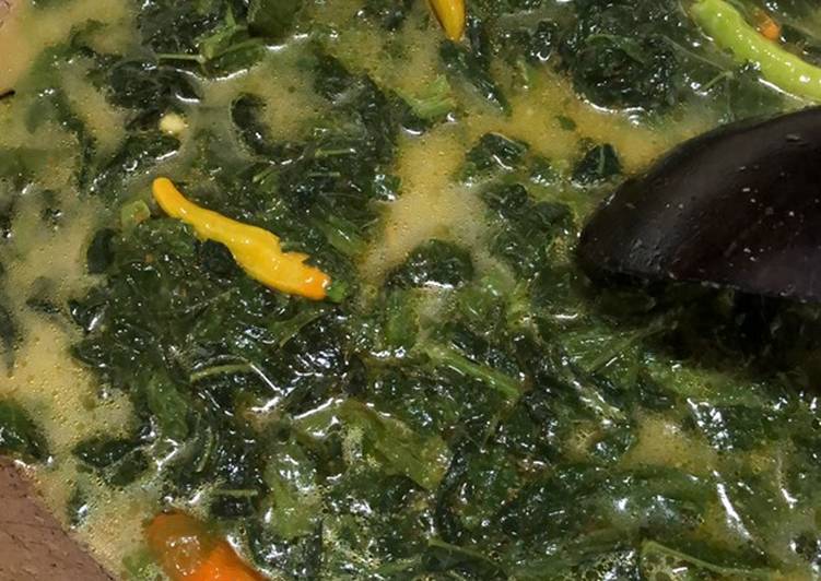 Detail Gambar Sayur Daun Singkong Nomer 18