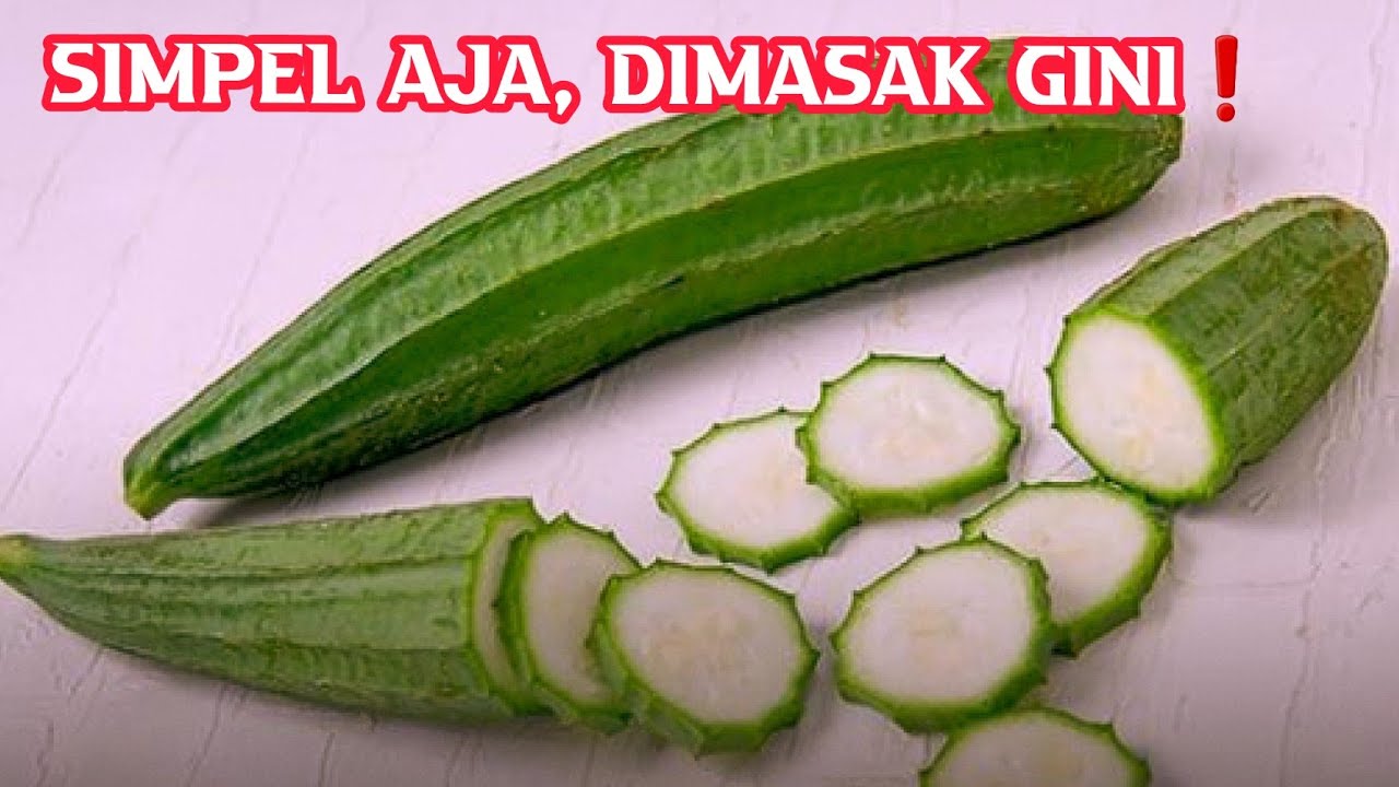 Detail Gambar Sayur Gambas Nomer 50