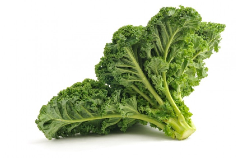 Detail Gambar Sayur Kale Nomer 11
