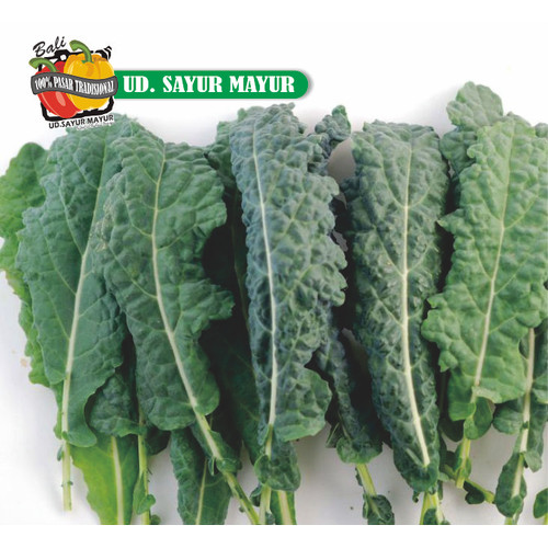Detail Gambar Sayur Kale Nomer 4