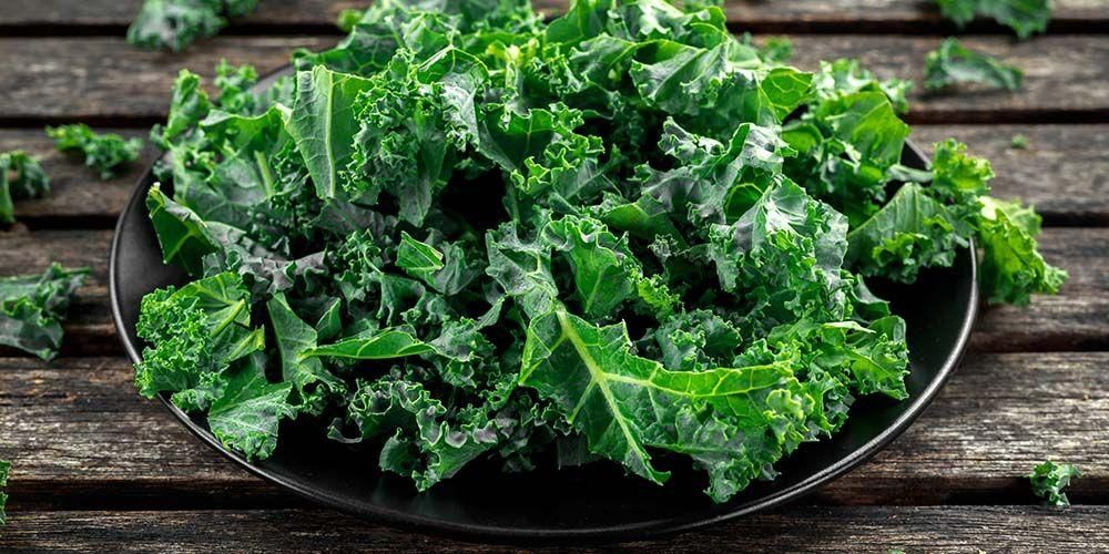 Detail Gambar Sayur Kale Nomer 29