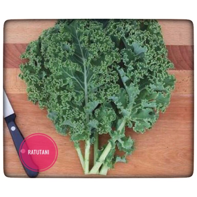 Detail Gambar Sayur Kale Nomer 31