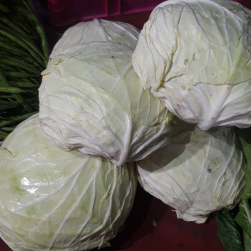 Detail Gambar Sayur Koll Nomer 23