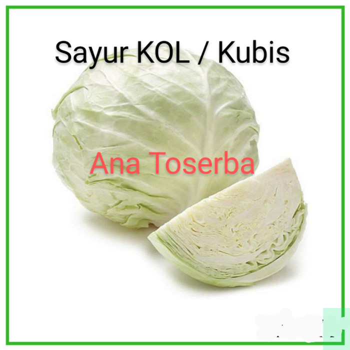 Detail Gambar Sayur Kubis Nomer 55