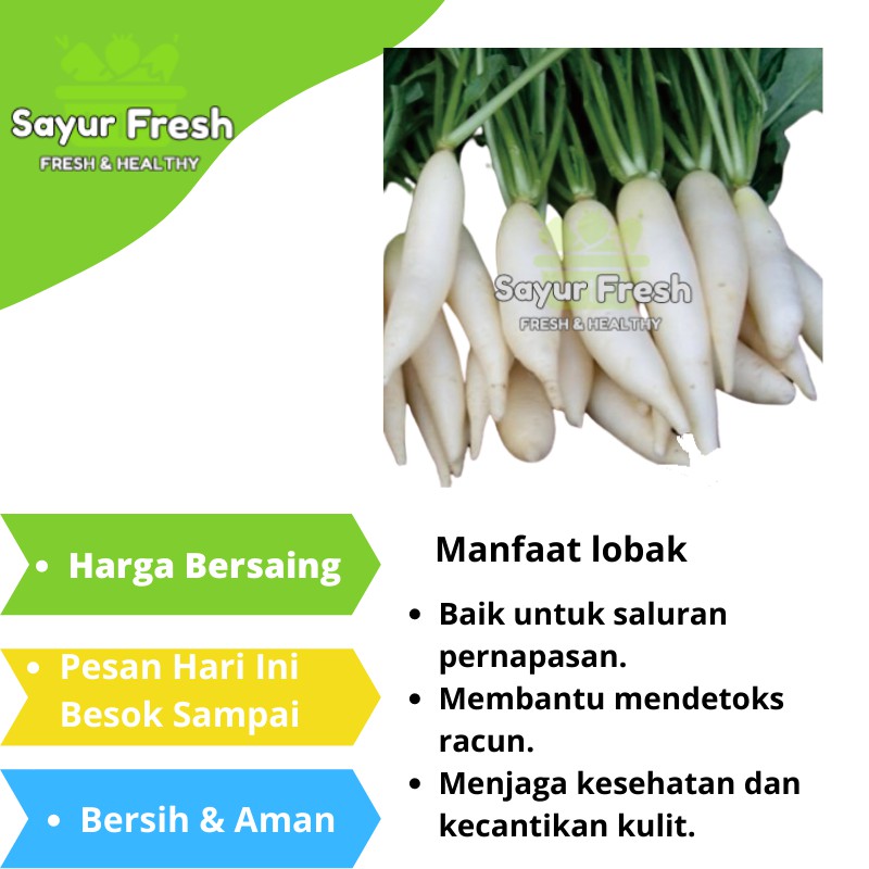 Download Gambar Sayur Lobak Nomer 23