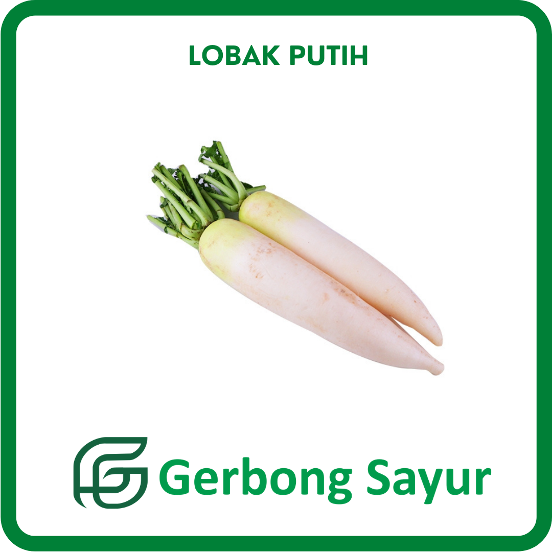 Detail Gambar Sayur Lobak Nomer 46